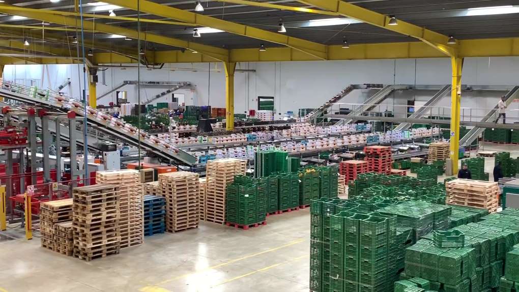 Empresa almacén hortofrutícola