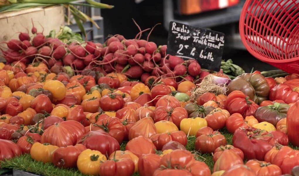 Tomates Marruecos