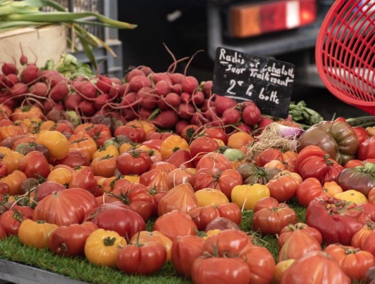 Tomates Marruecos