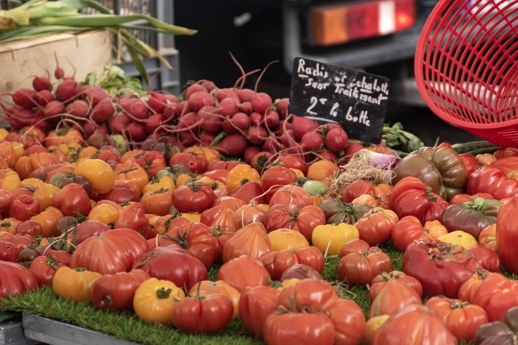 Tomates Marruecos