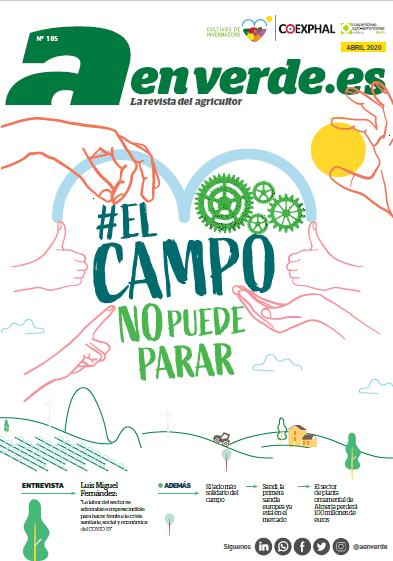 A EN VERDE 185