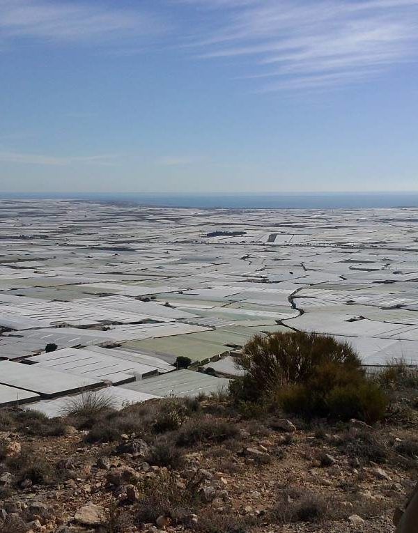 Vista panorámica de los invernaderos de Almería.