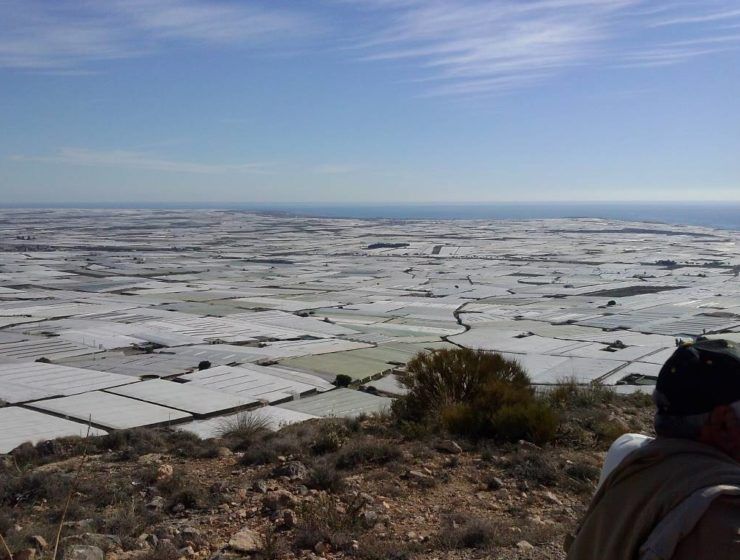 Vista panorámica de los invernaderos de Almería.