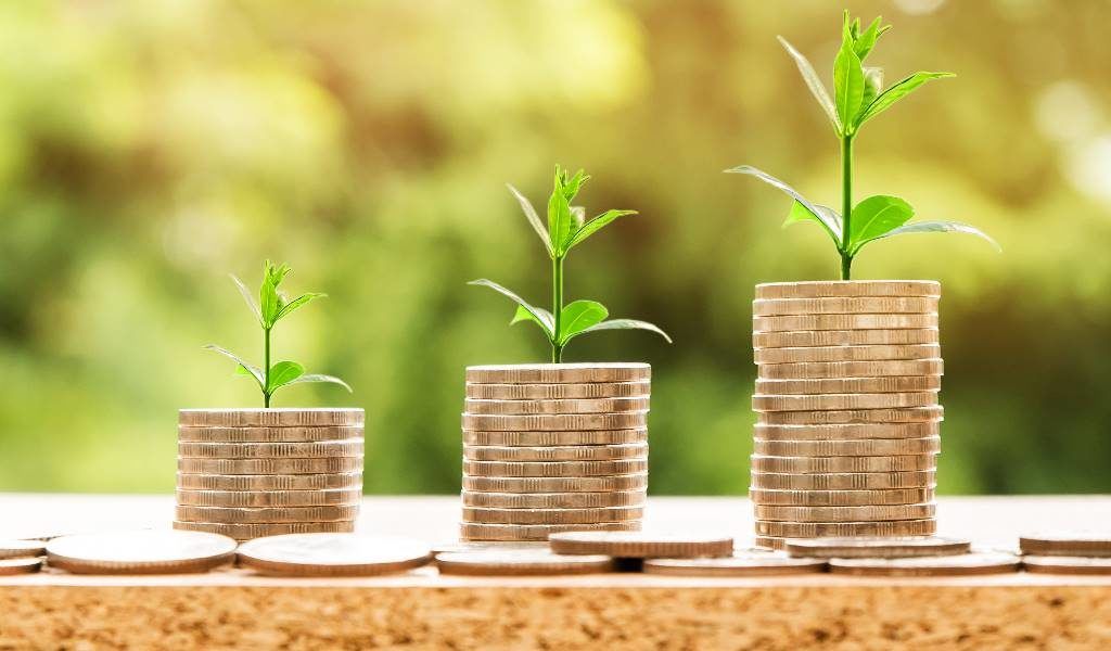 cooperativas rebaja fiscal