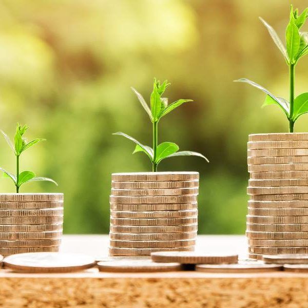 cooperativas rebaja fiscal