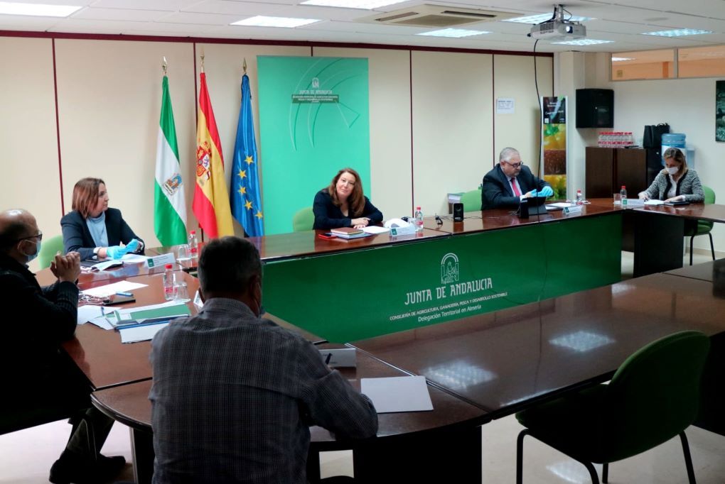 mesa interlocucion de frutas y hortalizas