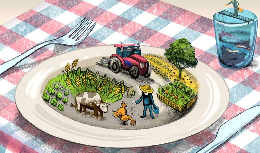 De la granja a la mesa