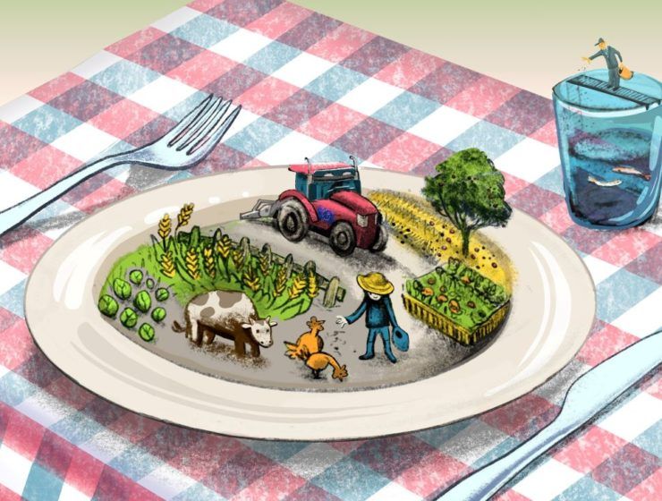 De la granja a la mesa