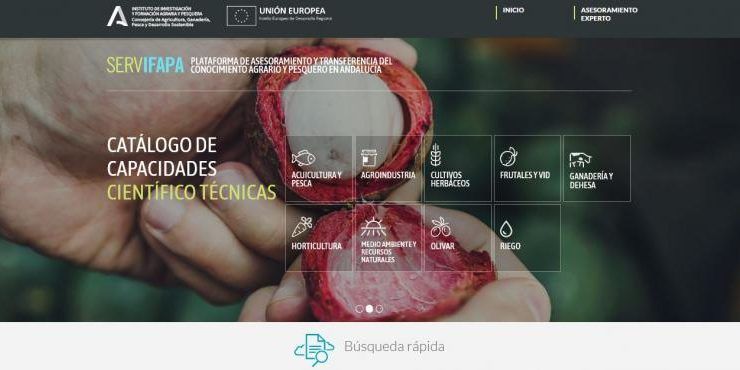 Portal Servifapa.