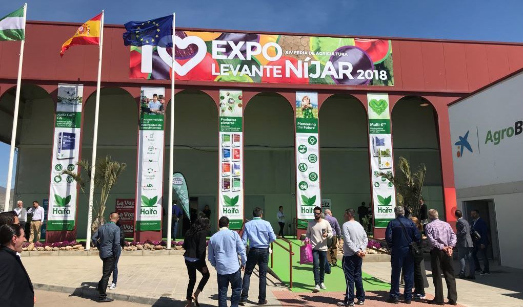 feria agrícola ExpoLevante