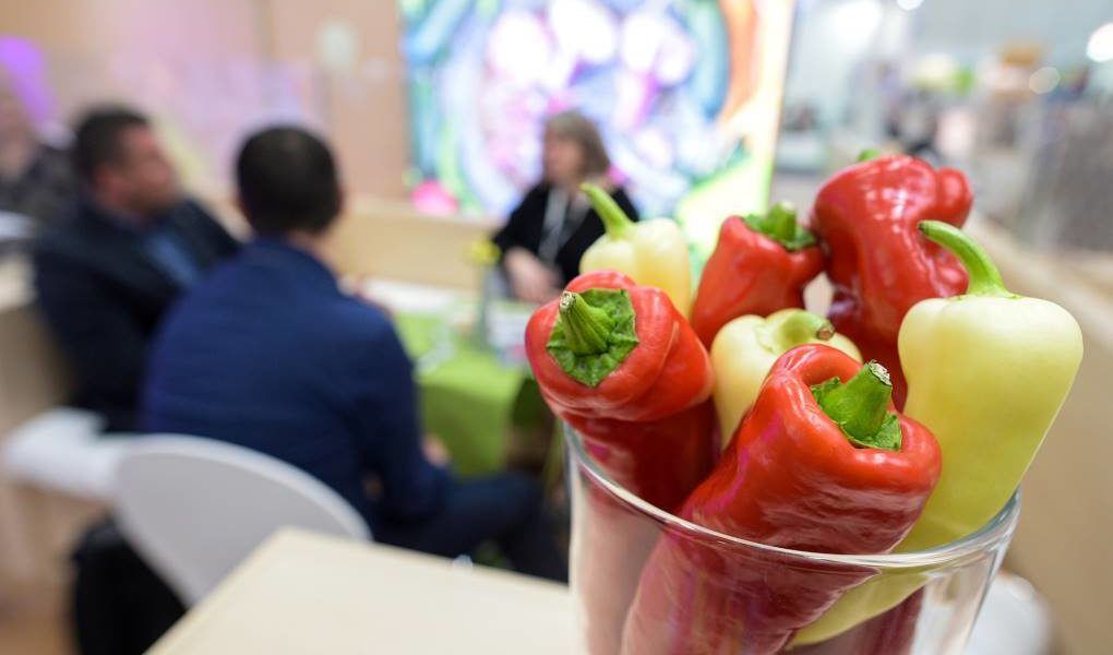 Fruit Logistica