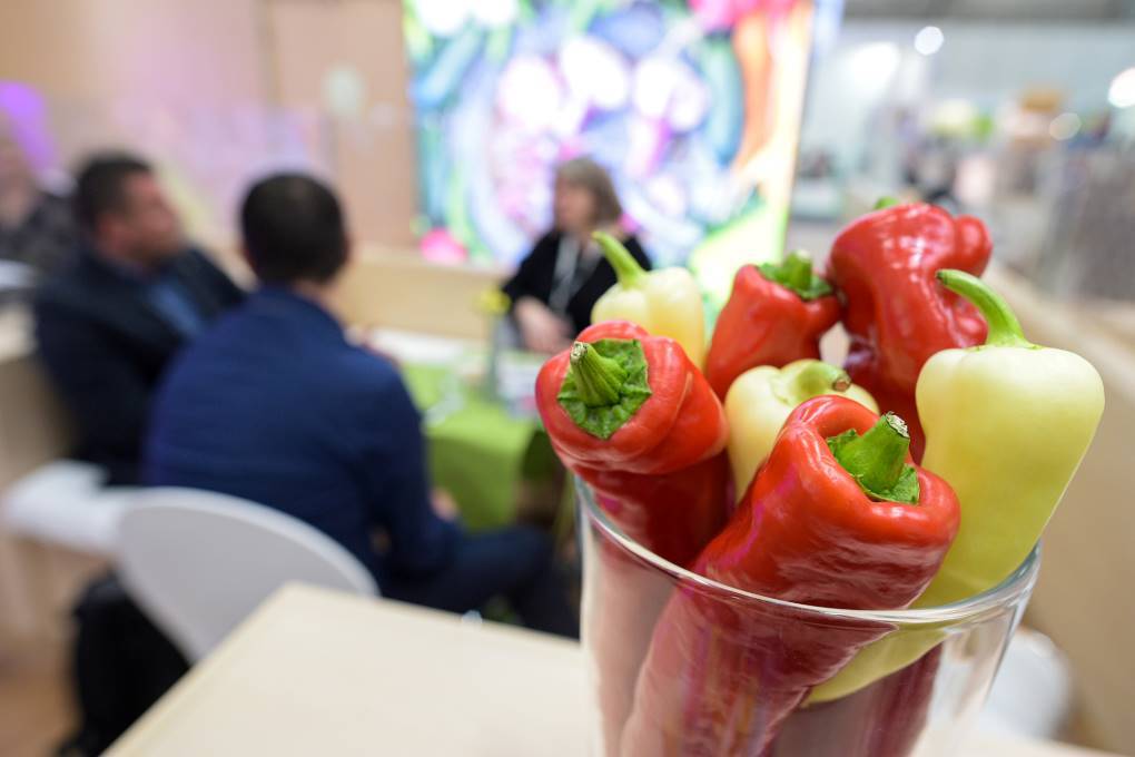 Fruit Logistica