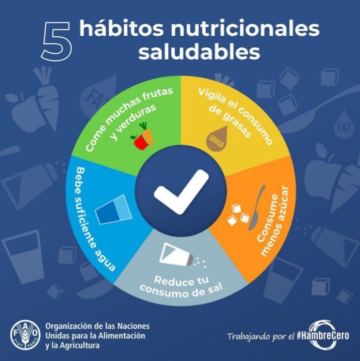 habitos saludables de la ONU