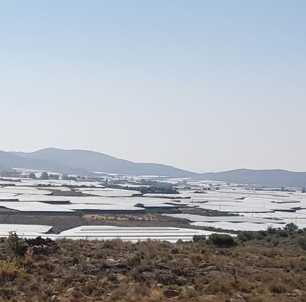 Invernaderos de Dalías