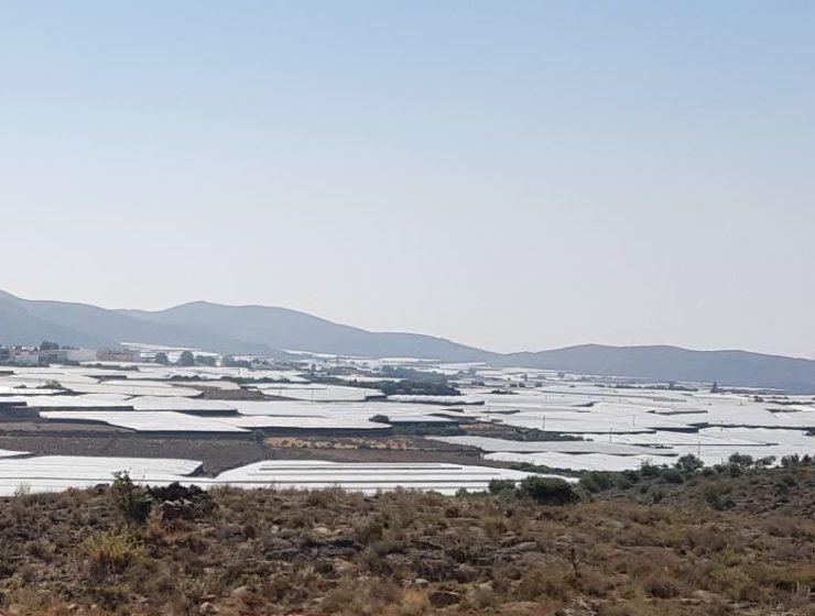 Invernaderos de Dalías