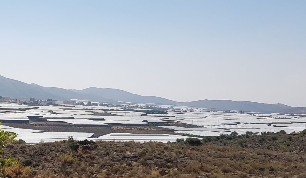 Invernaderos de Dalías
