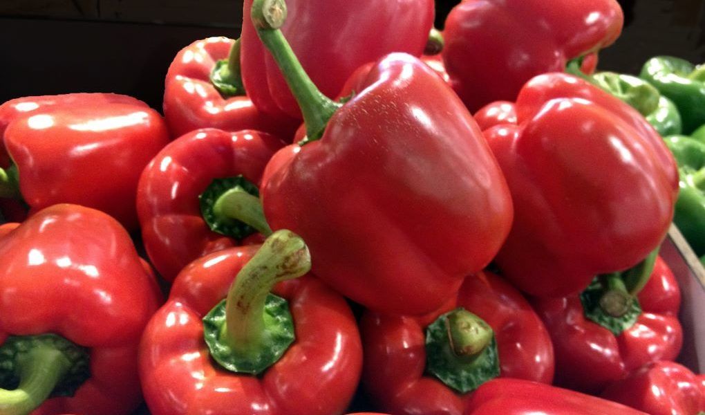 El pimiento se mantiene como producto líder en las exportaciones hortofrutícolas.