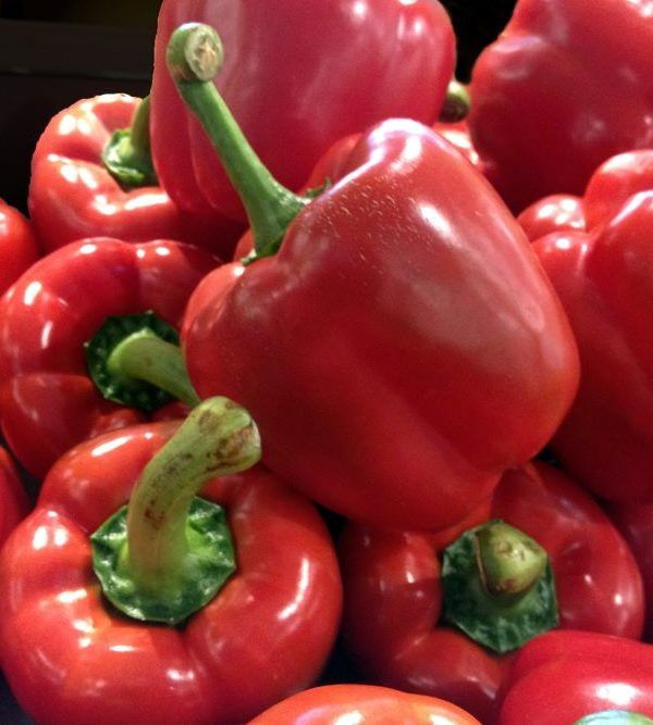 El pimiento se mantiene como producto líder en las exportaciones hortofrutícolas.