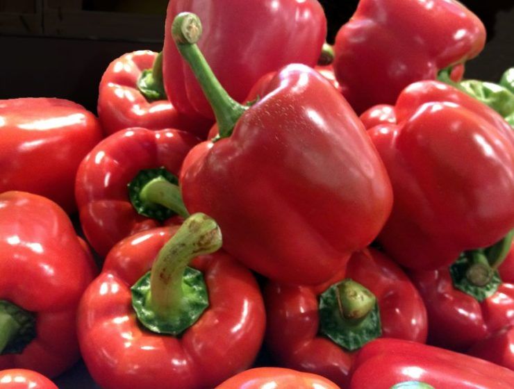 El pimiento se mantiene como producto líder en las exportaciones hortofrutícolas.