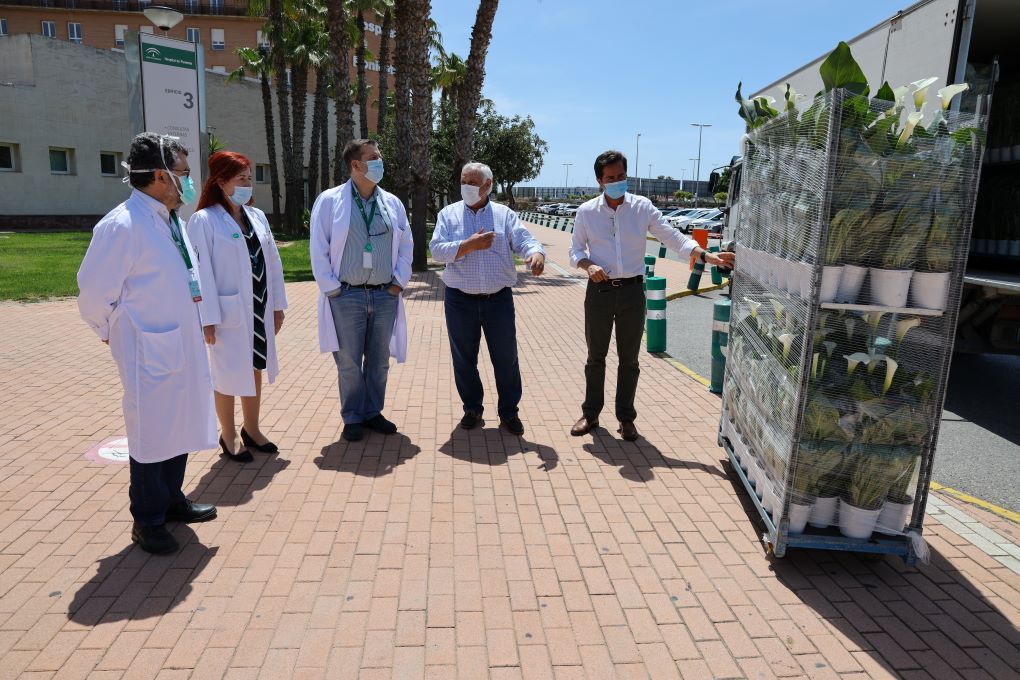 donación de plantas de Semilleros Laimund