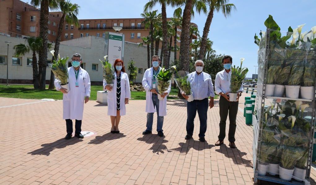 donación plantas Laimund
