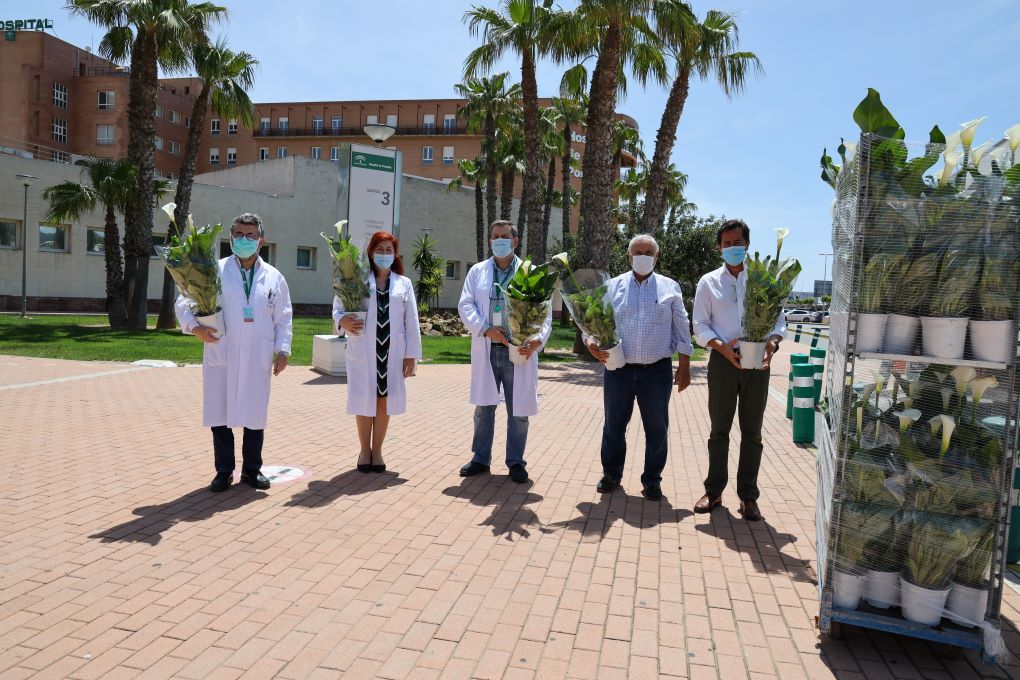 donación plantas Laimund