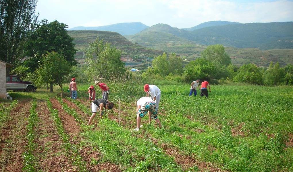 trabajadores termporeros