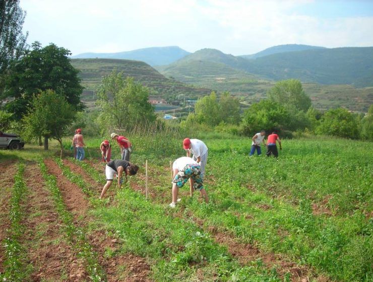 trabajadores termporeros