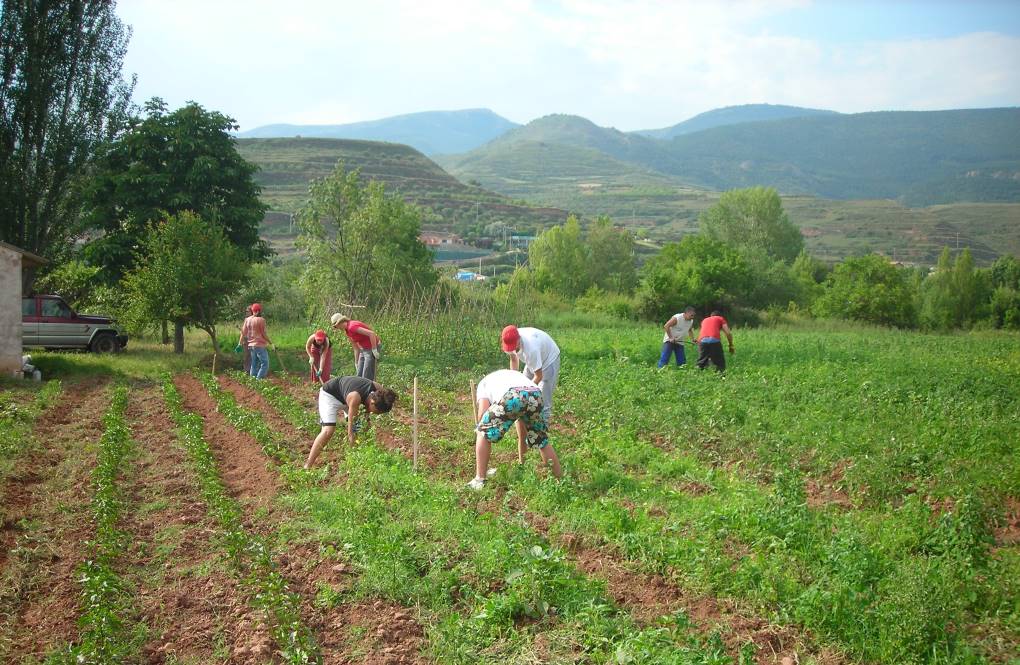 trabajadores termporeros