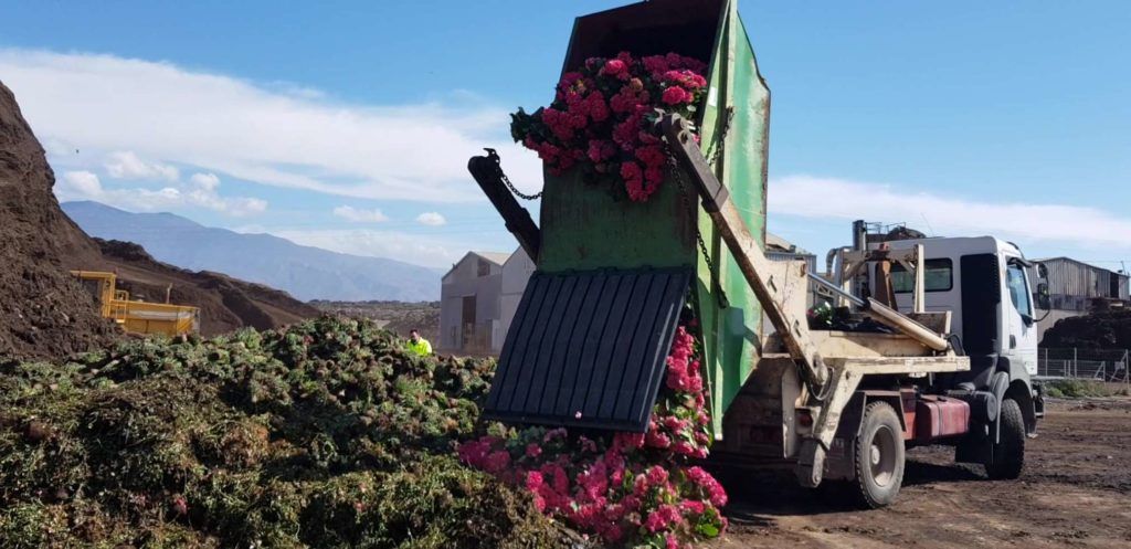 Vertido de plantas en Ejido Medio Ambiente.