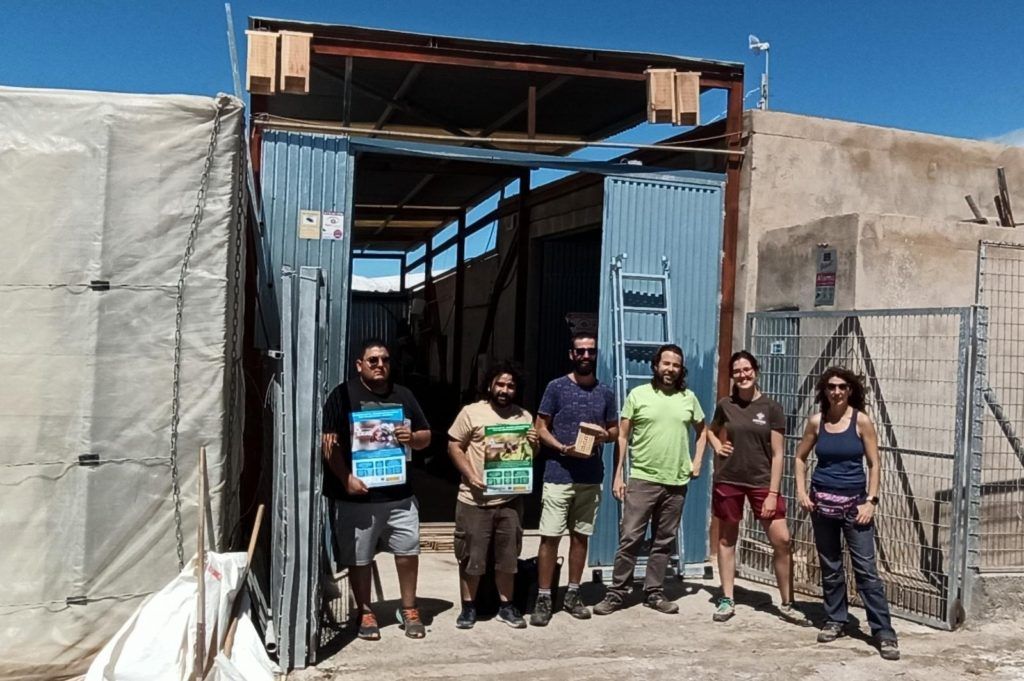 Instalación de cuatro cajas nido para murciélagos (sobre la puerta).