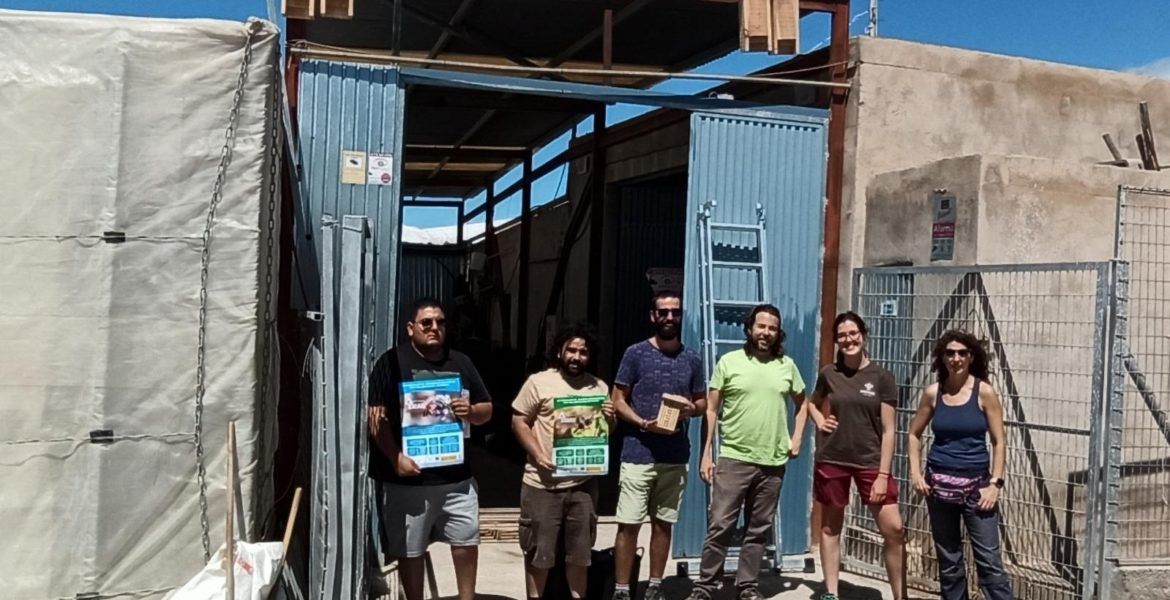 Instalación de cuatro cajas nido para murciélagos (sobre la puerta).