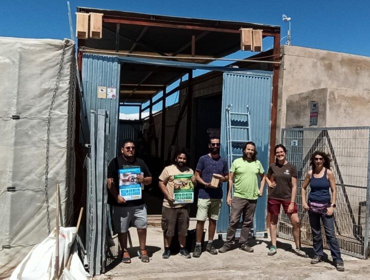 Instalación de cuatro cajas nido para murciélagos (sobre la puerta).