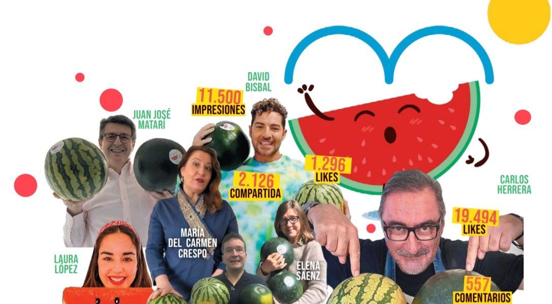 campaña sandi