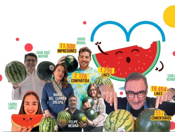 campaña sandi