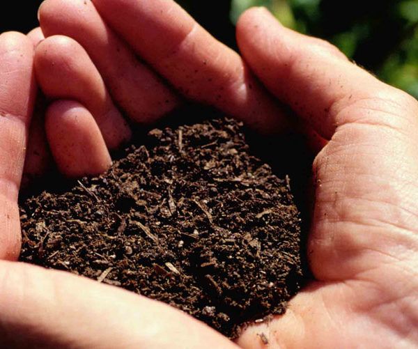 fertilizantes