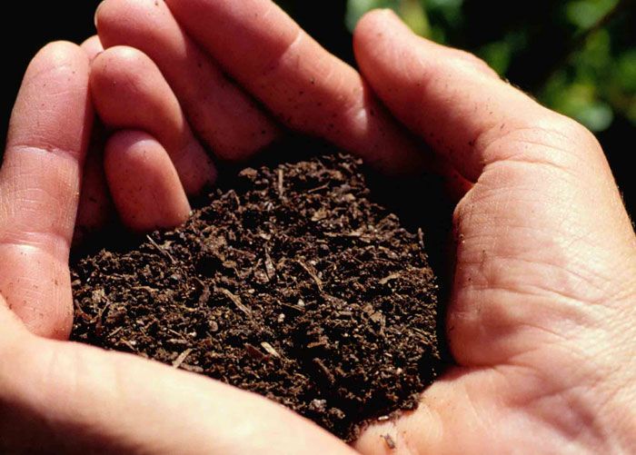 fertilizantes