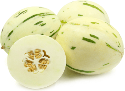 melon Mikie agroponiente