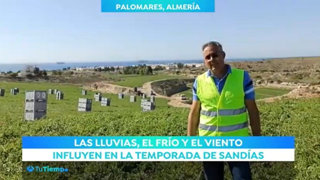 Agrícola Navarro de Haro sandía fashion