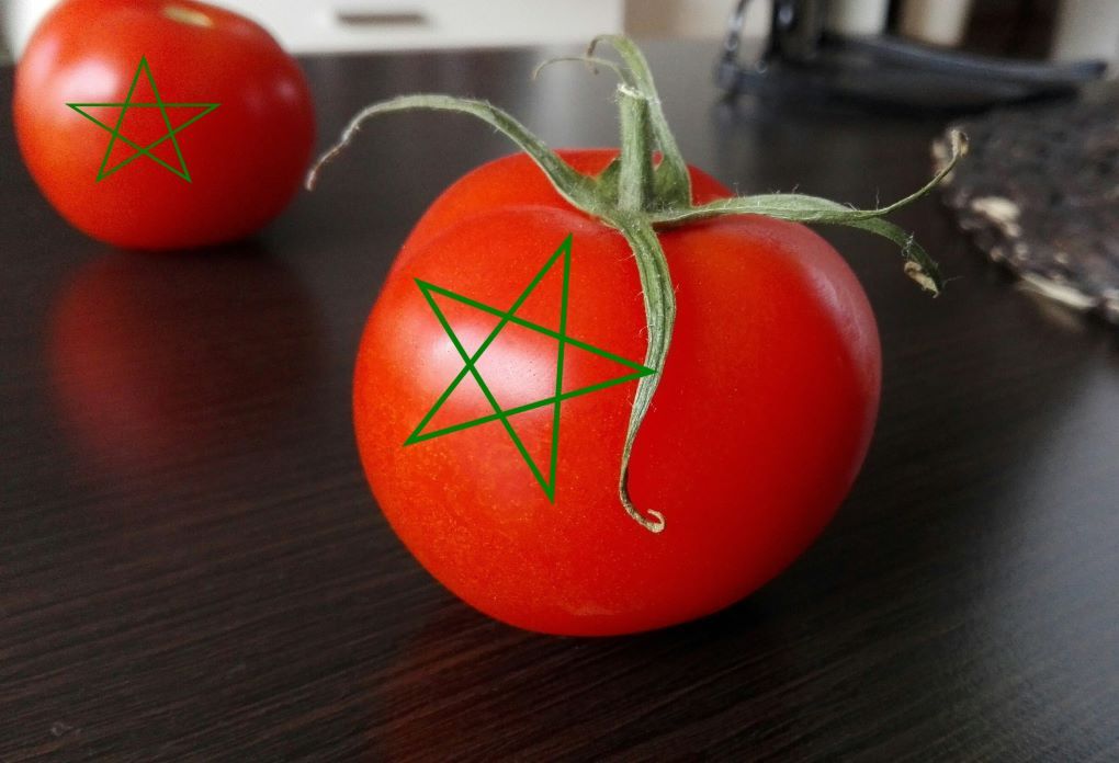 tomate marroquí