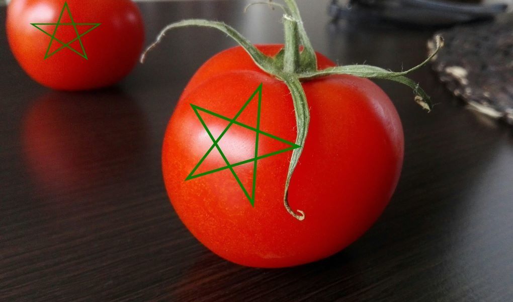 tomate marroquí