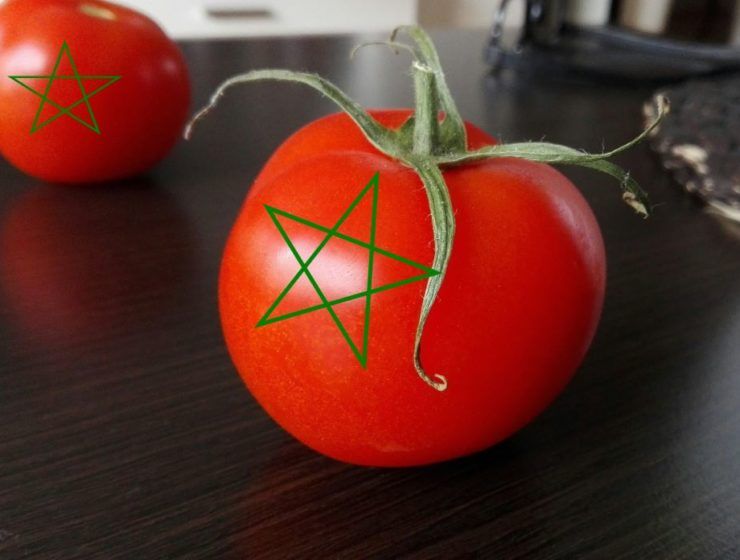tomate marroquí