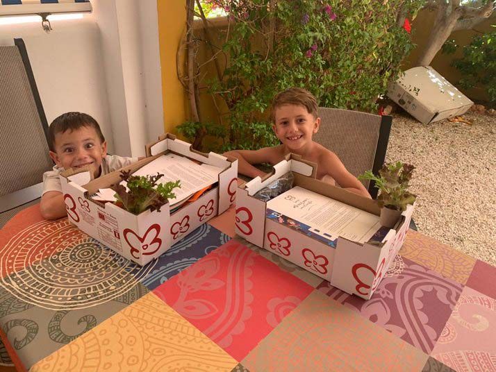 Proyecto Educación Greenlovers