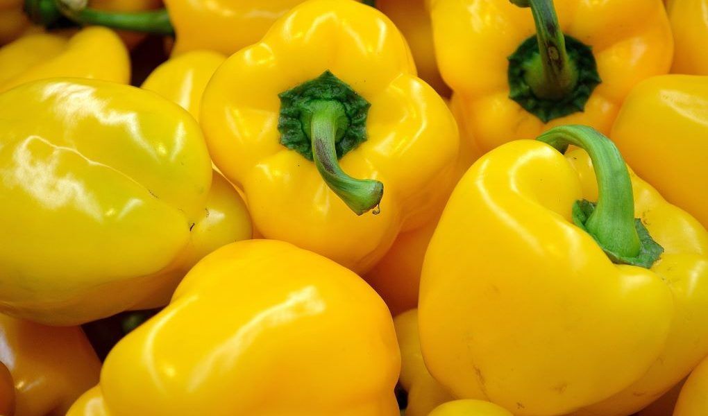 pimientos