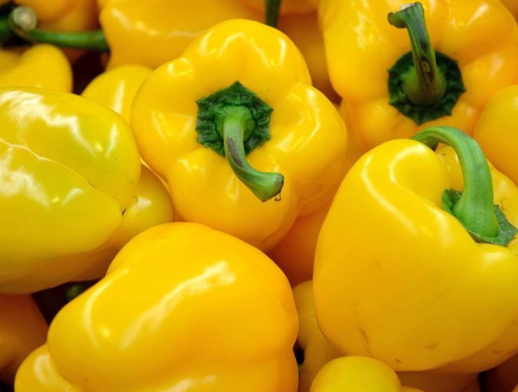 pimientos