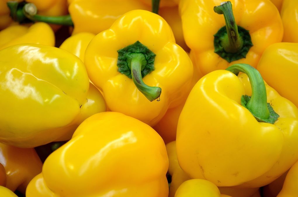 pimientos