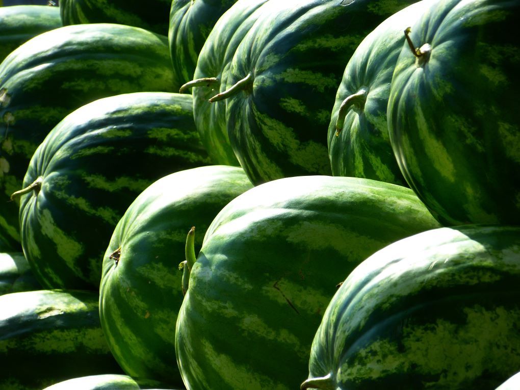 La fruta más importada este mes ha sido la sandía con 45.397 toneladas (+82%) y 27,3 millones de euros (+106%), siendo Marruecos el primer proveedor.
