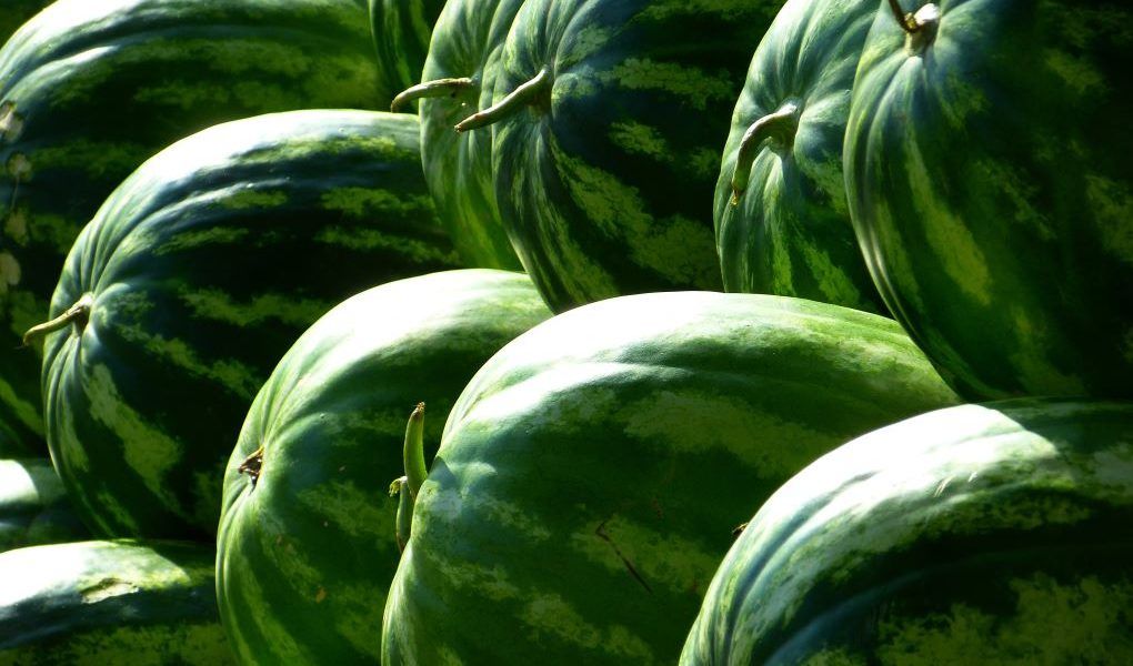 La fruta más importada este mes ha sido la sandía con 45.397 toneladas (+82%) y 27,3 millones de euros (+106%), siendo Marruecos el primer proveedor.