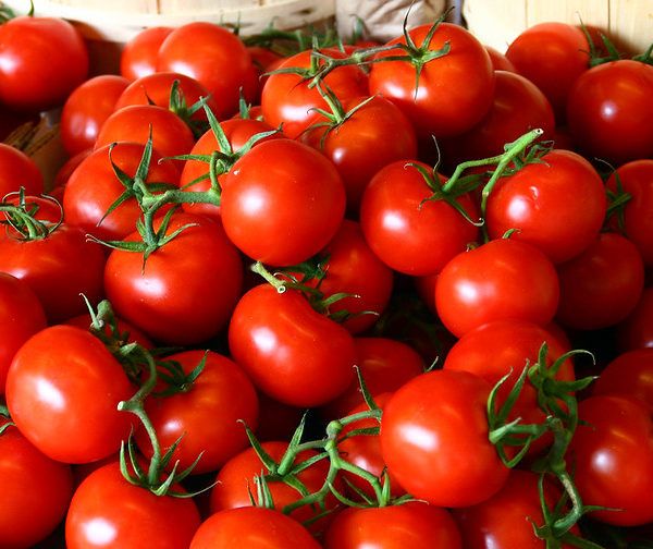 tomates