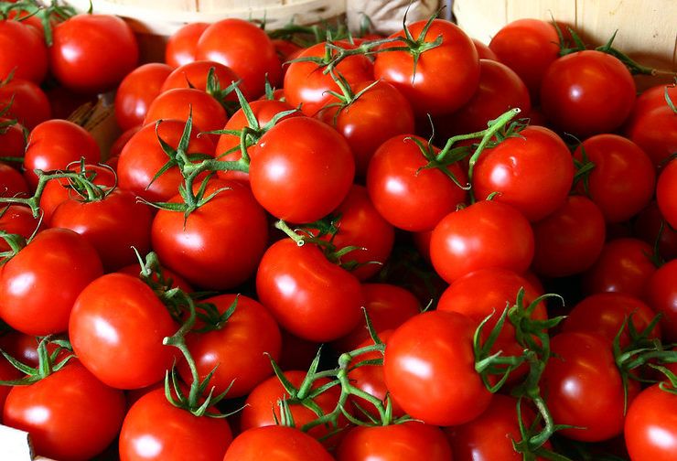 tomates